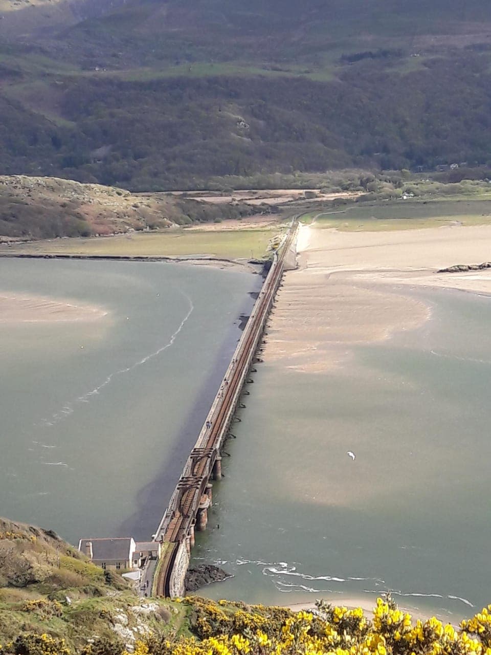 Barmouth Bridge: the view from the hill behind the house.
