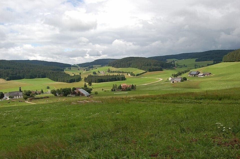 Landscape in the near of the house.
