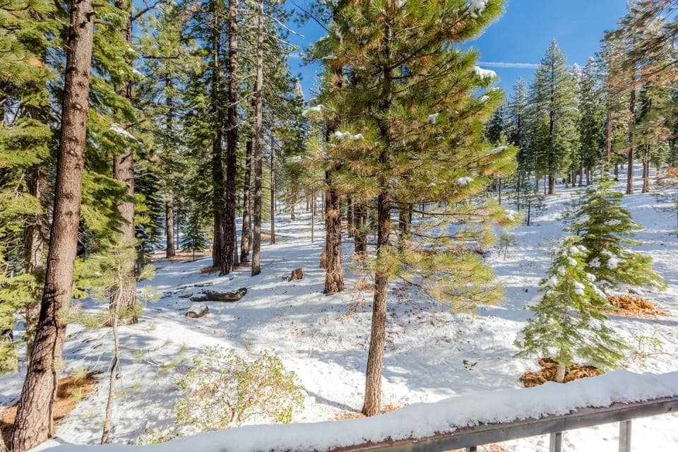 Secluded View From Side Deck!