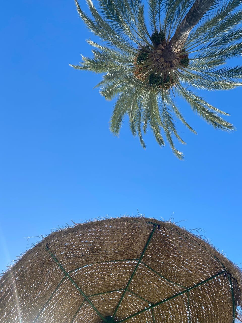 Having a a lazy day by the Pool