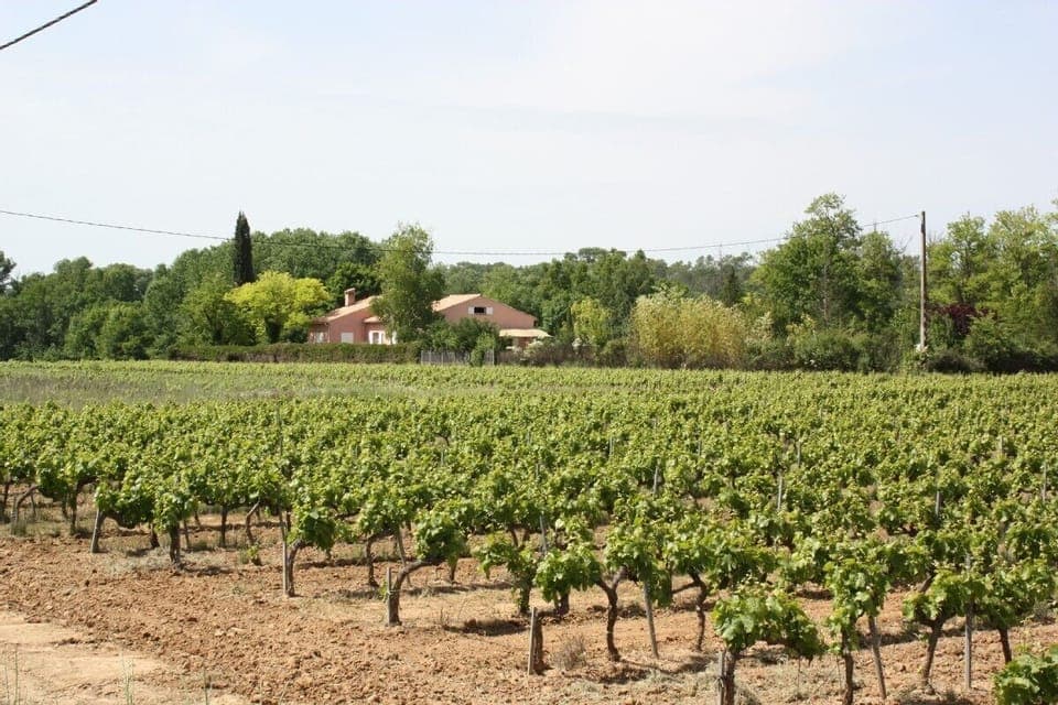 Villa next to vines