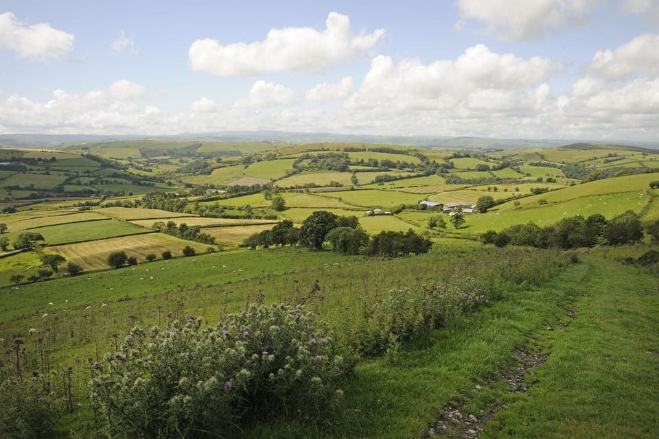 Glyndwrs Way near the cottage gate