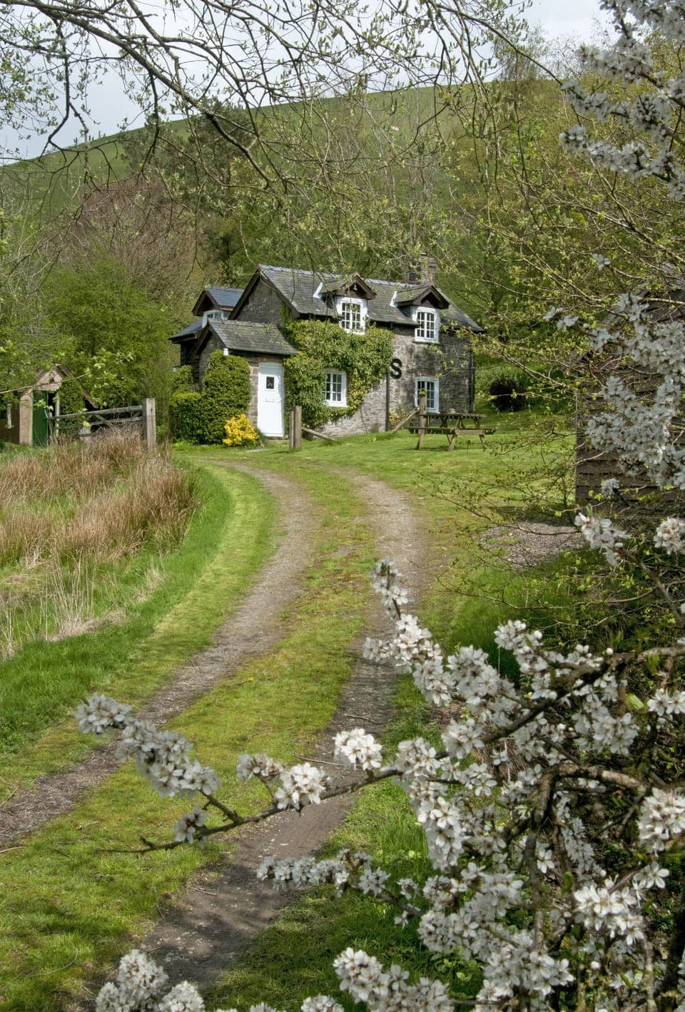 The cottage in spring time