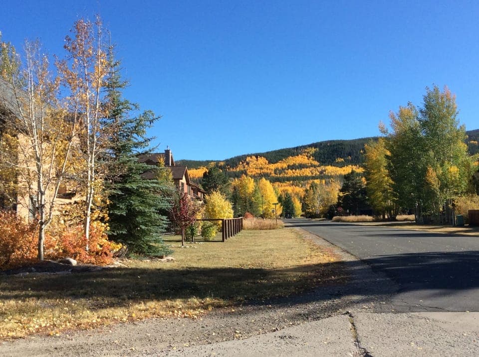 Aspen to the south changing colors in the fall