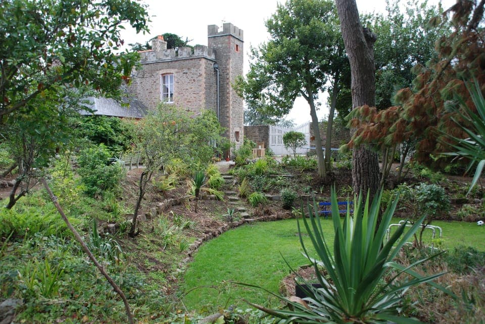 Views of the garden