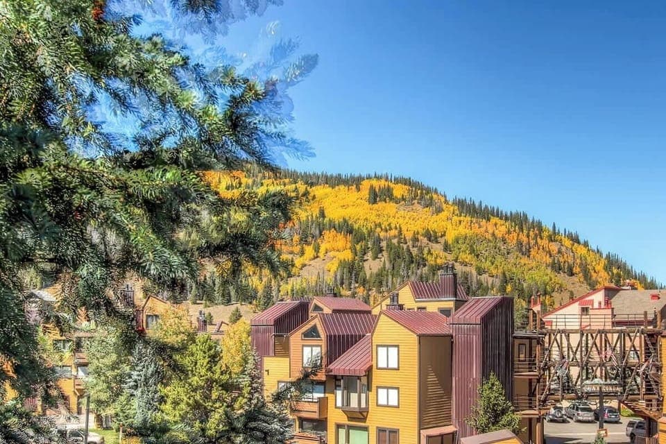 View from the NEW windows in the unit.