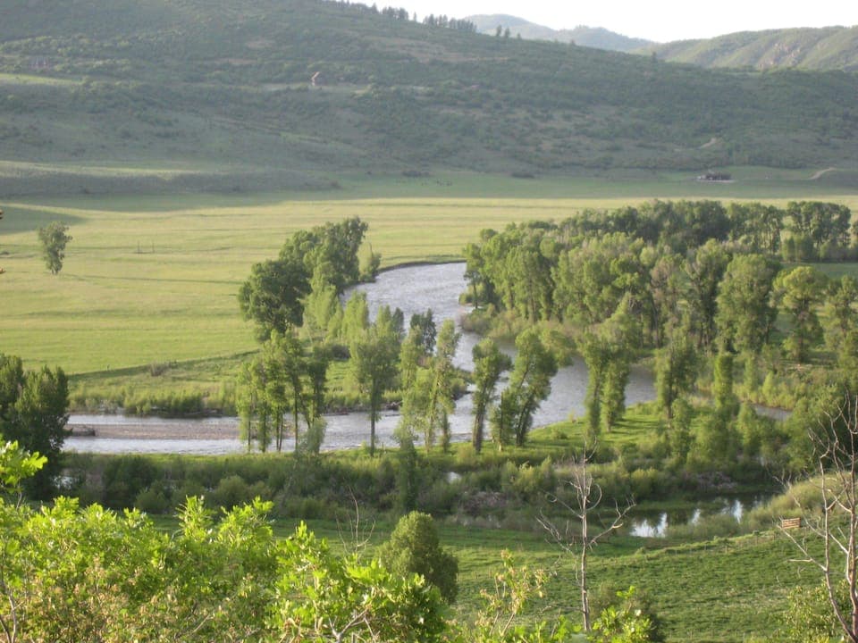View from Cabin
