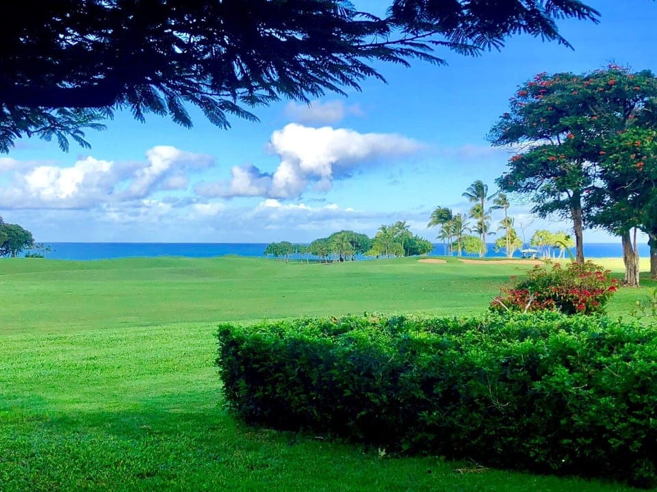 Take in sweeping blue horizons paired with emerald fairways.