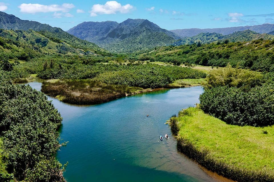 Paddle down the peaceful Hanalei River, surrounded by lush greenery and towering mountains for a true island escape.