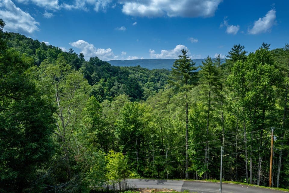 Smoky Mountain Cabin "Katies Lodge" - View From Front Yard