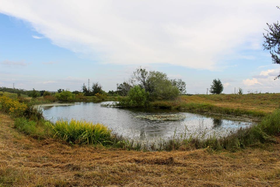 Four ponds on the property are visited by wildlife