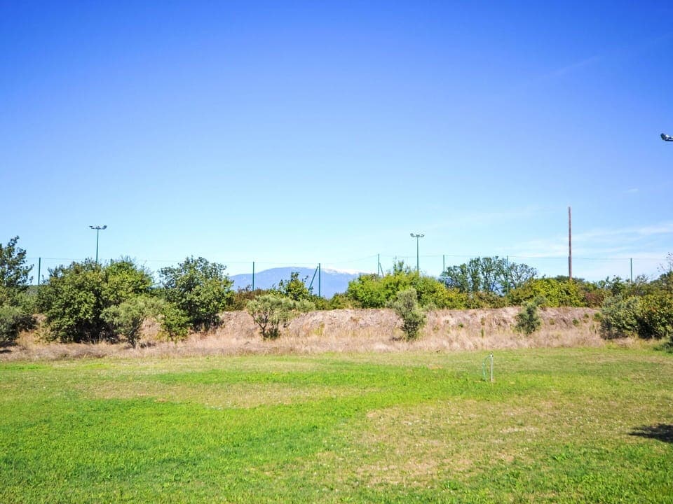 Sky, Cloud, Plant, Natural Landscape, Vegetation, Landscape, Tree, Plain, Horizon, Grass