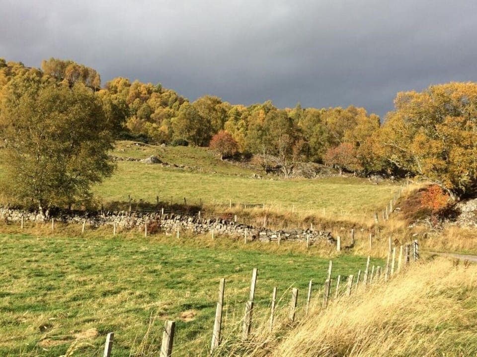 Autumn scene at Tordarroch, Farr.