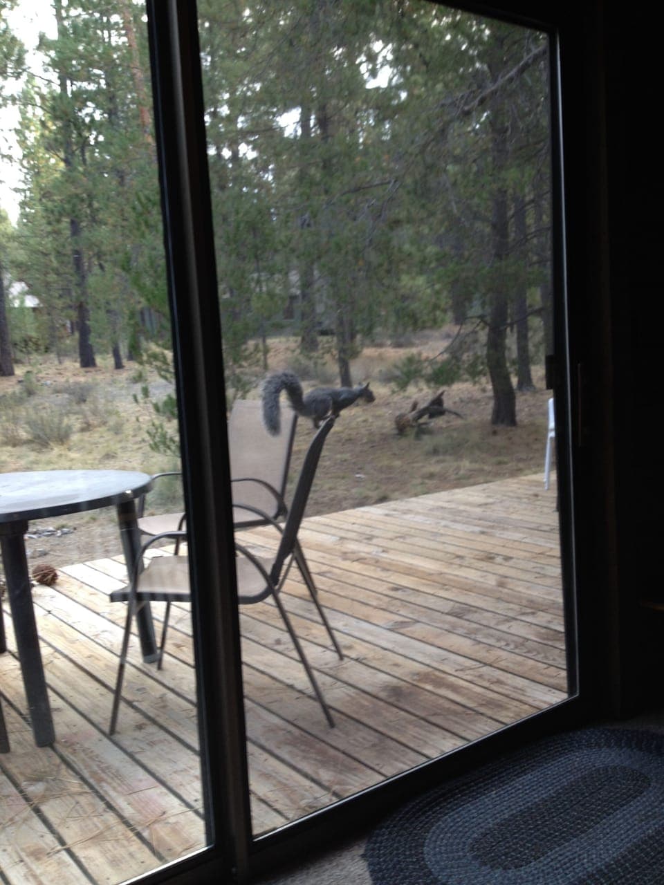 More wildlife.