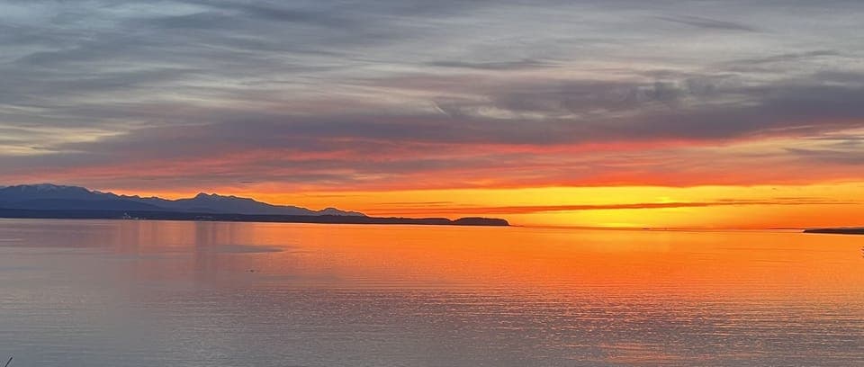 This little beauty caught my eye… 
1st week of April, 2023