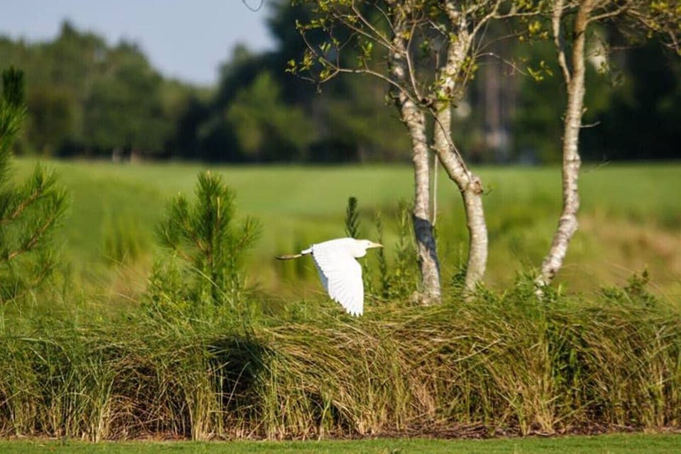 Nature in all its beauty can be found everywhere on 30A
