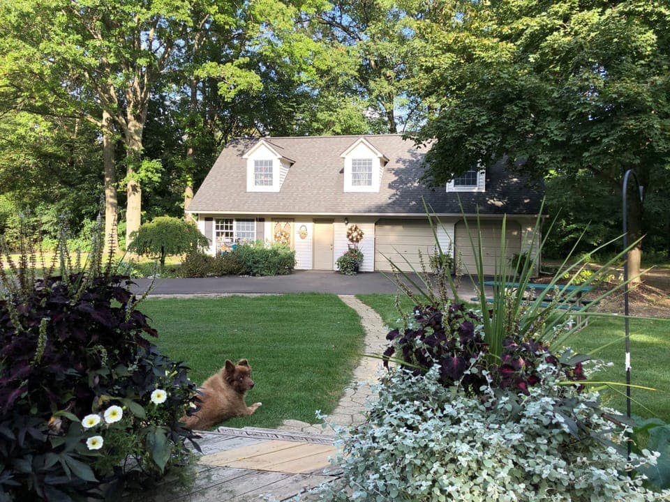 On a Sunny Summer Afternoon!