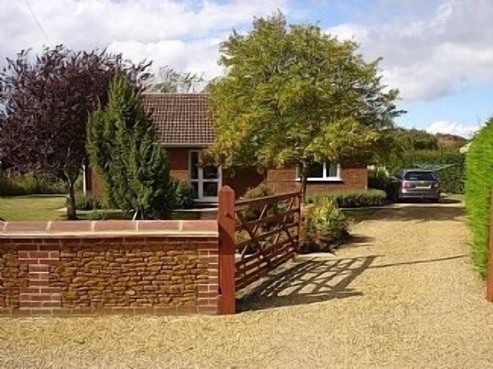 The Front of Lavenders