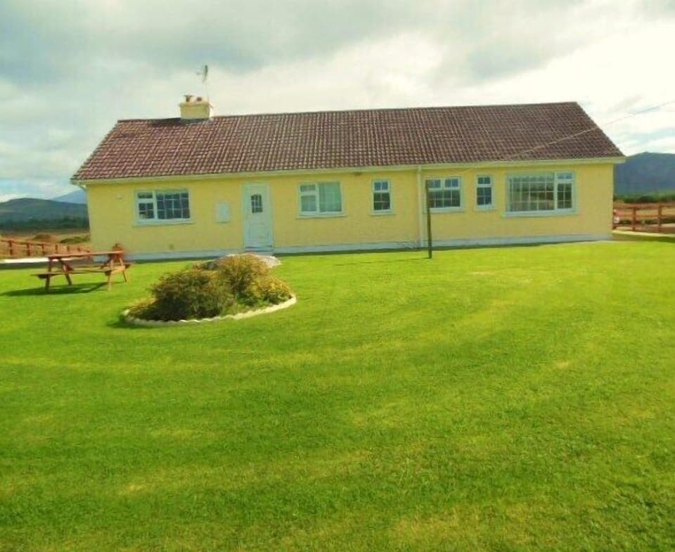 Back garden 