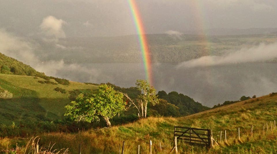 Early evening treasure...