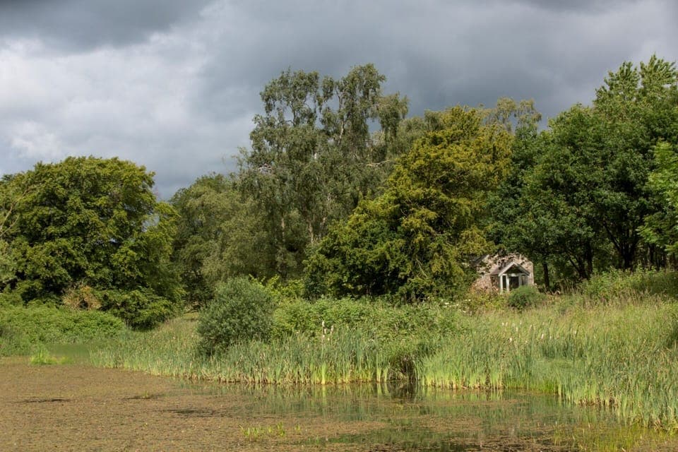 The private lake, included, enjoy a stroll around or study the wildlife.