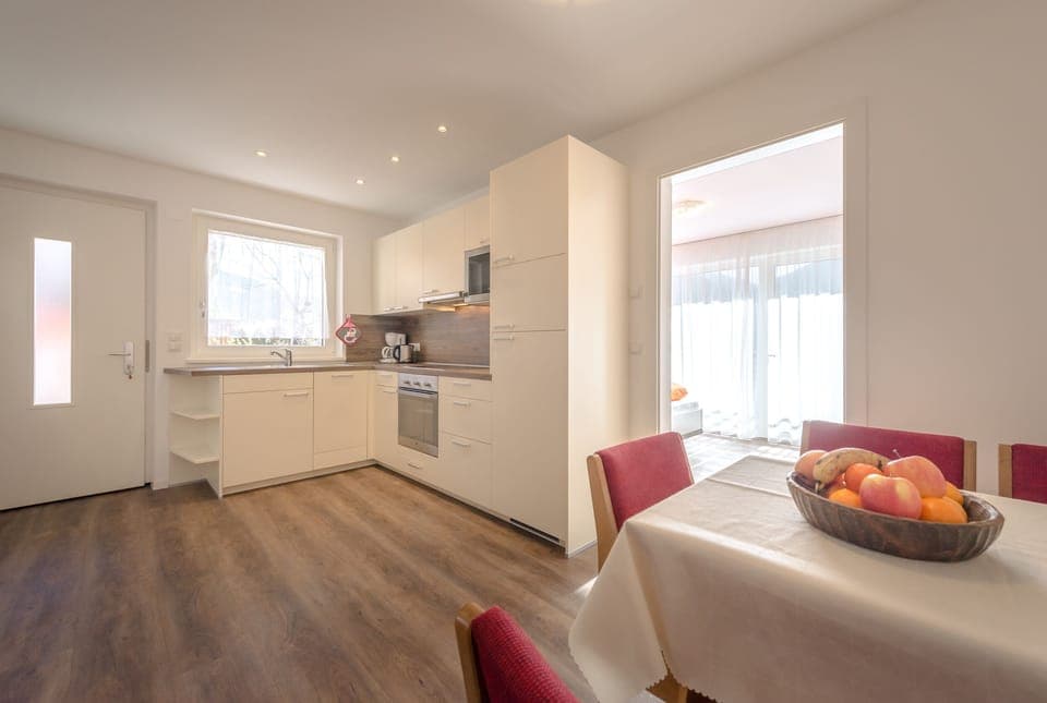 kitchen apartment "Palmai"