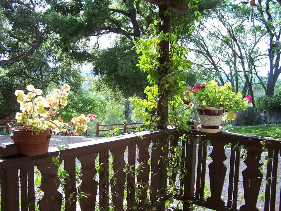 View from the Guest House porch.