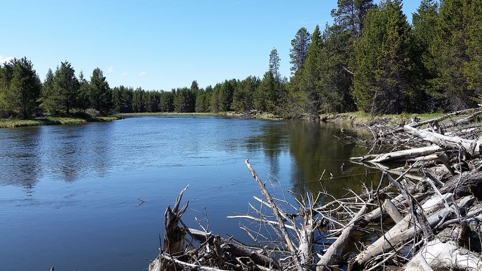 10 minute walk to the Deschutes River