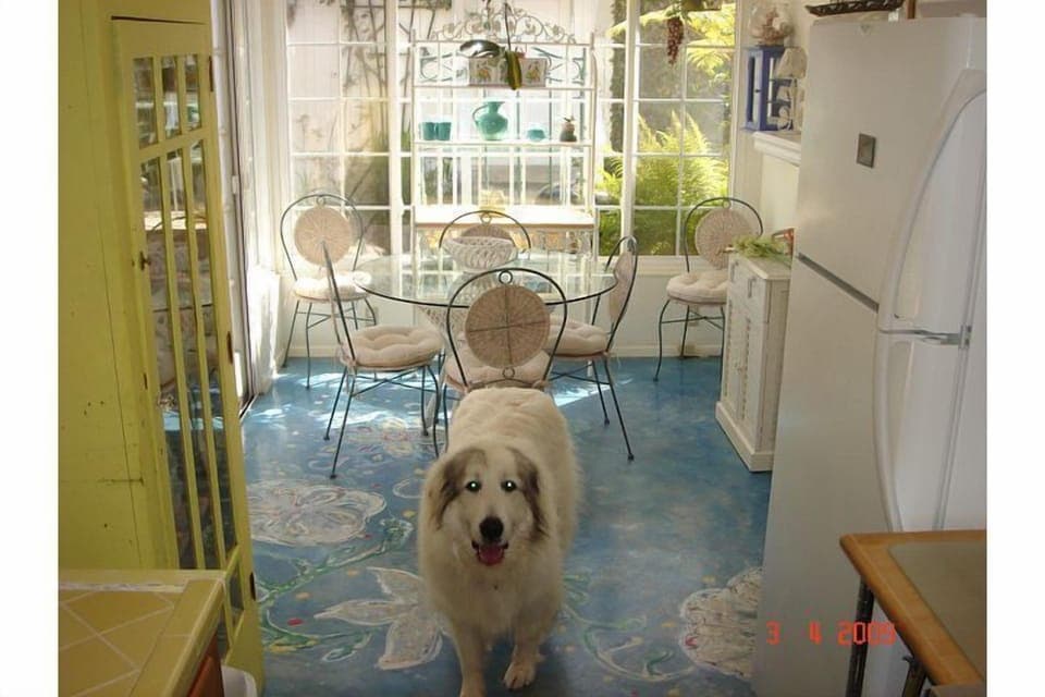 Jewell greeting us in kitchen area/breakfast nook