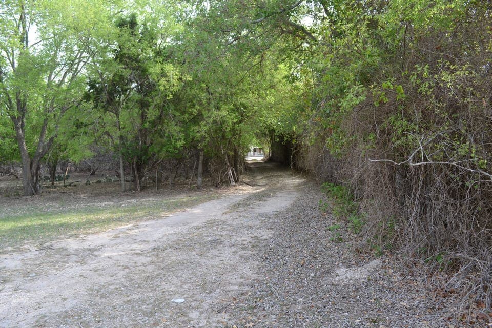 Driveway looking toward the highway; the house is completely obscured by woods