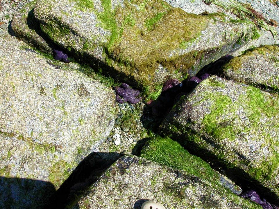 A sculpture for nature-lovers.