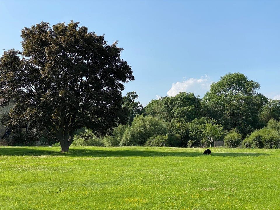 House grounds & gardens