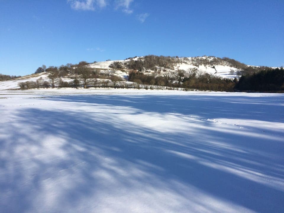 Snowy view from garden