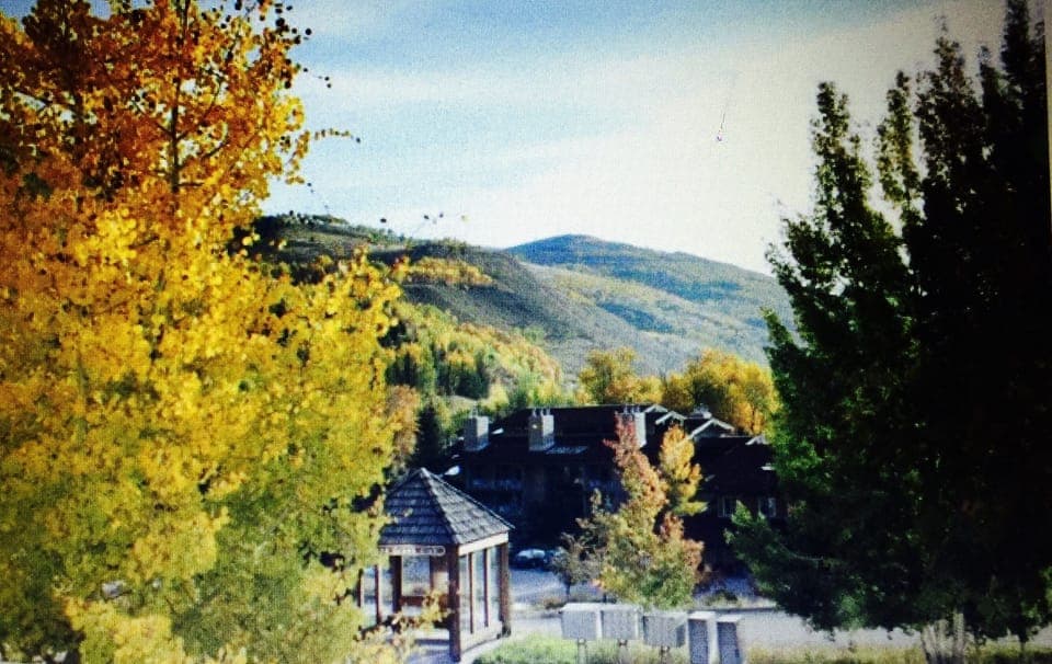 Condo view of Bus stop