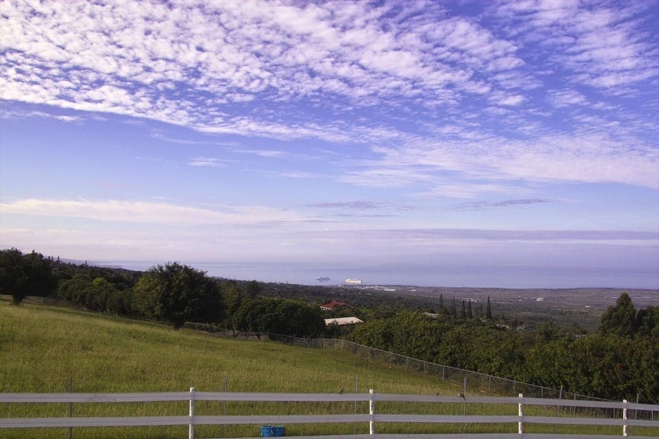 View from the Cottage