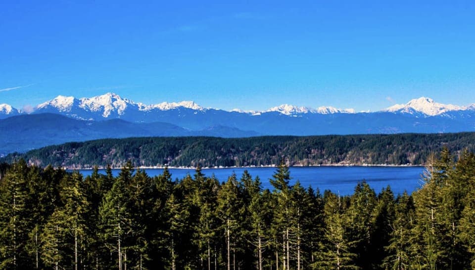View of the Olympic Mountains from the clubhouse.  