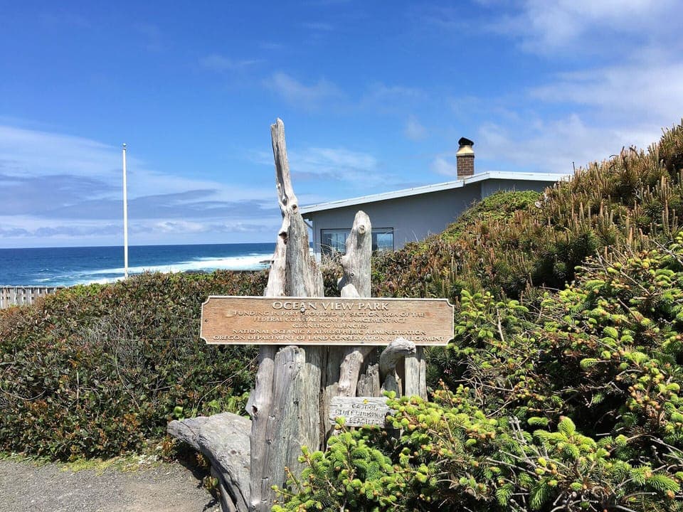 A makeshift bench and driftwood marker on the trail.