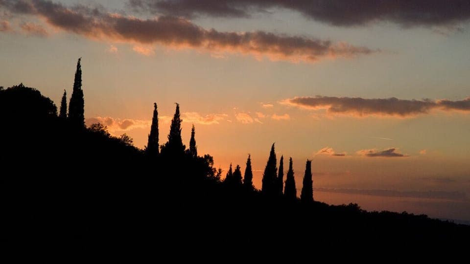 Sunset from the back patio