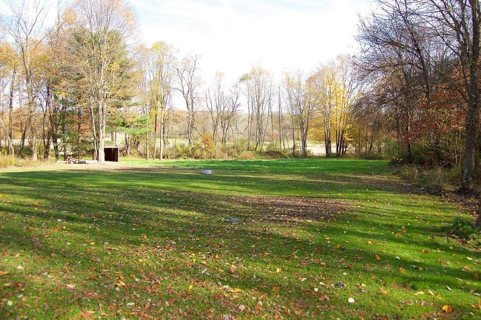 View from the back deck.  Firepit.