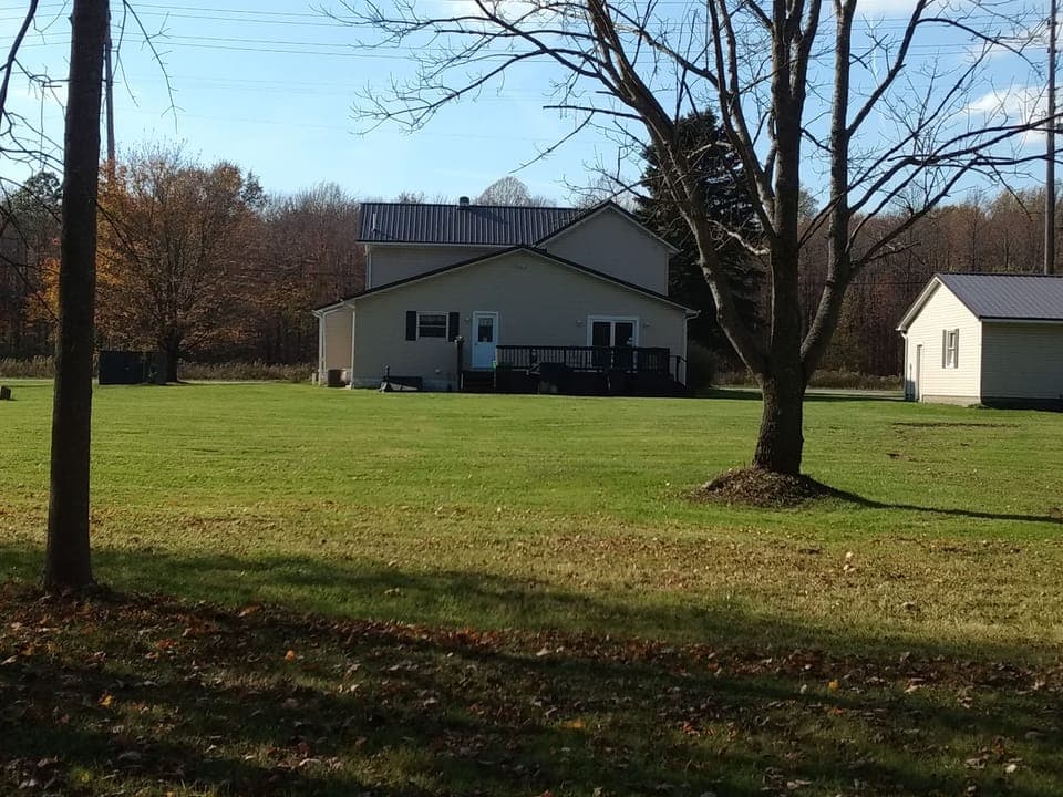 View from the fire pit in the back yard
