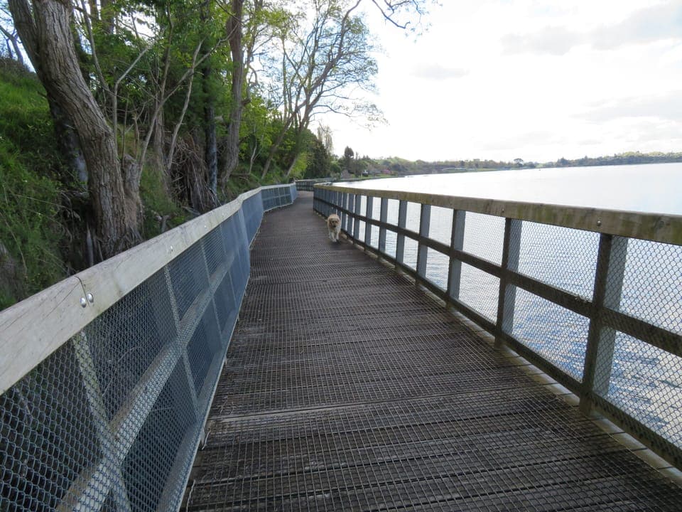 Cycling/Walking Track Waikato River