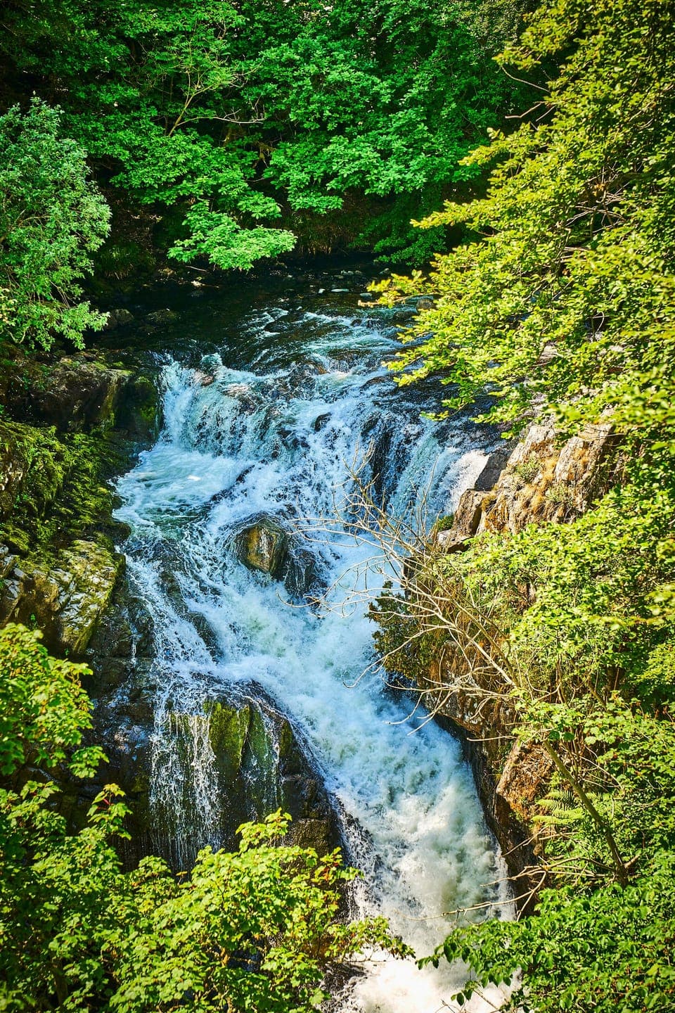 Reekie Linn waterfall