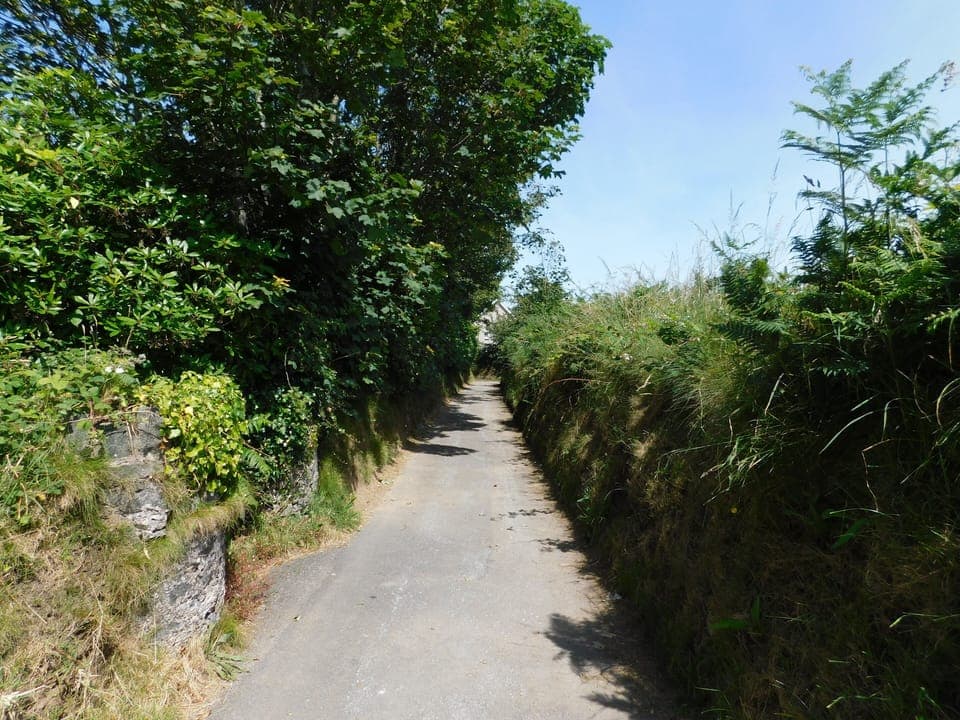 view down lane as it narrows