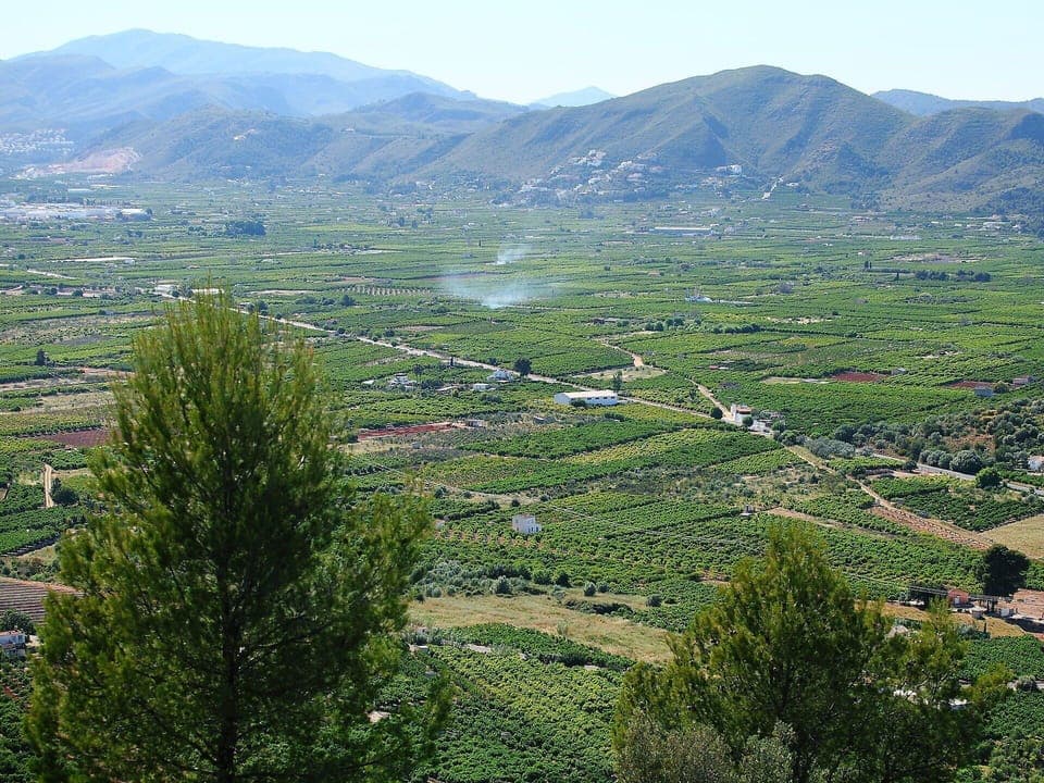 Mountainous Landforms, Highland, Mountain, Hill Station, Vegetation, Wilderness, Hill, Mountain Range, Nature Reserve, Tree