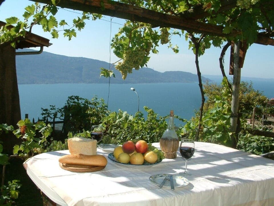 Panorama view from the sunny patio in the garden