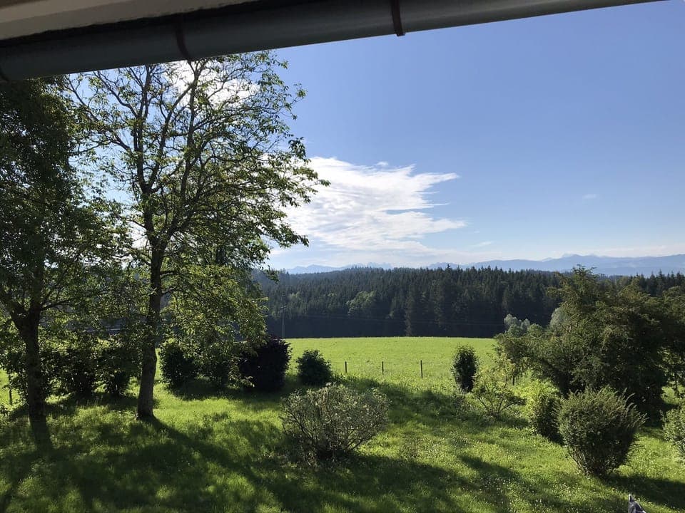 View from property