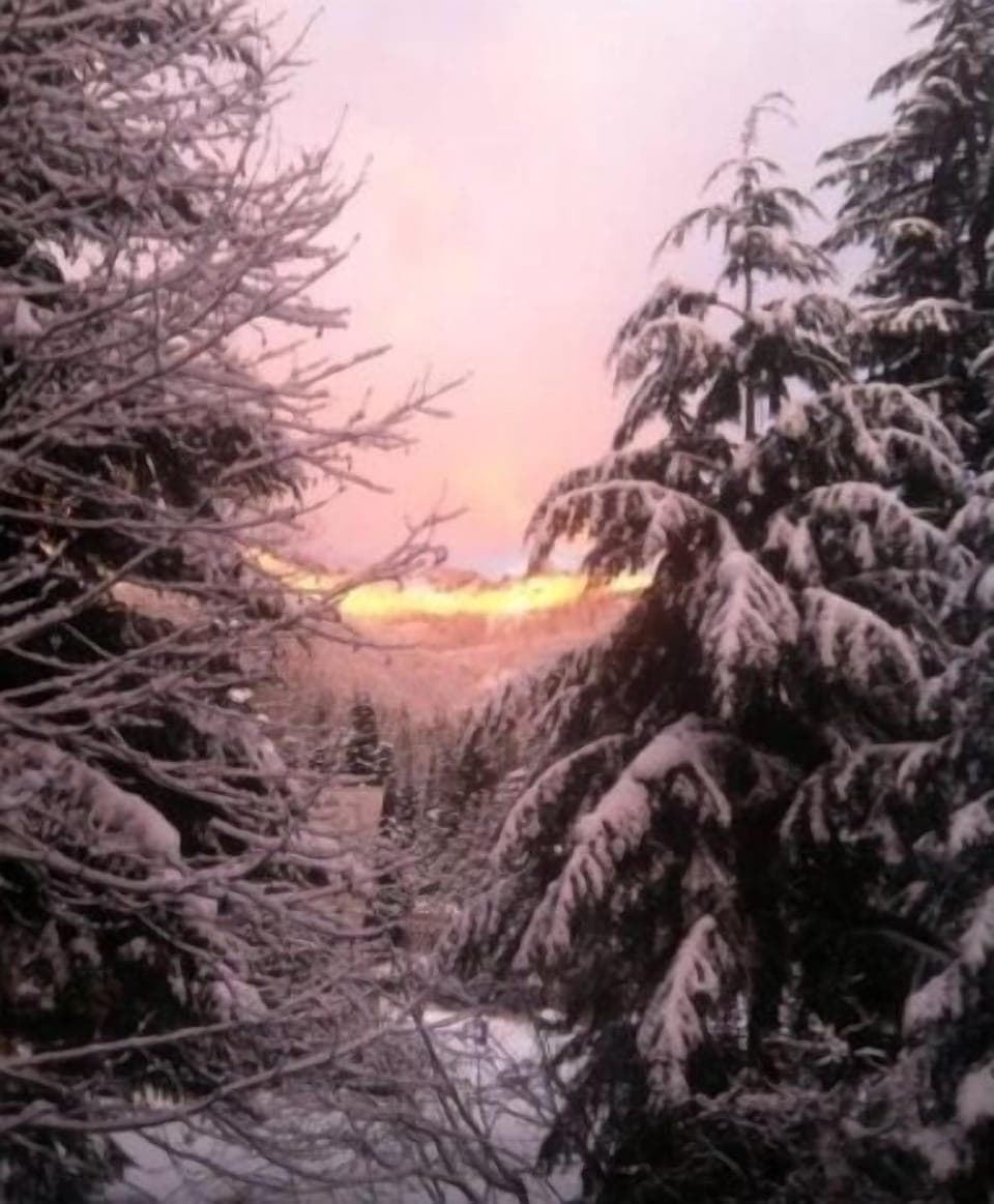 View from deck, Winter.