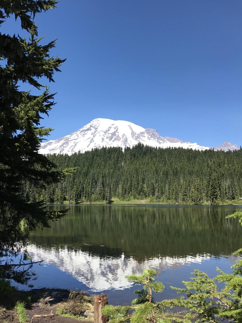 Reflection of Mt. Rainier, at famous Reflection Lake.