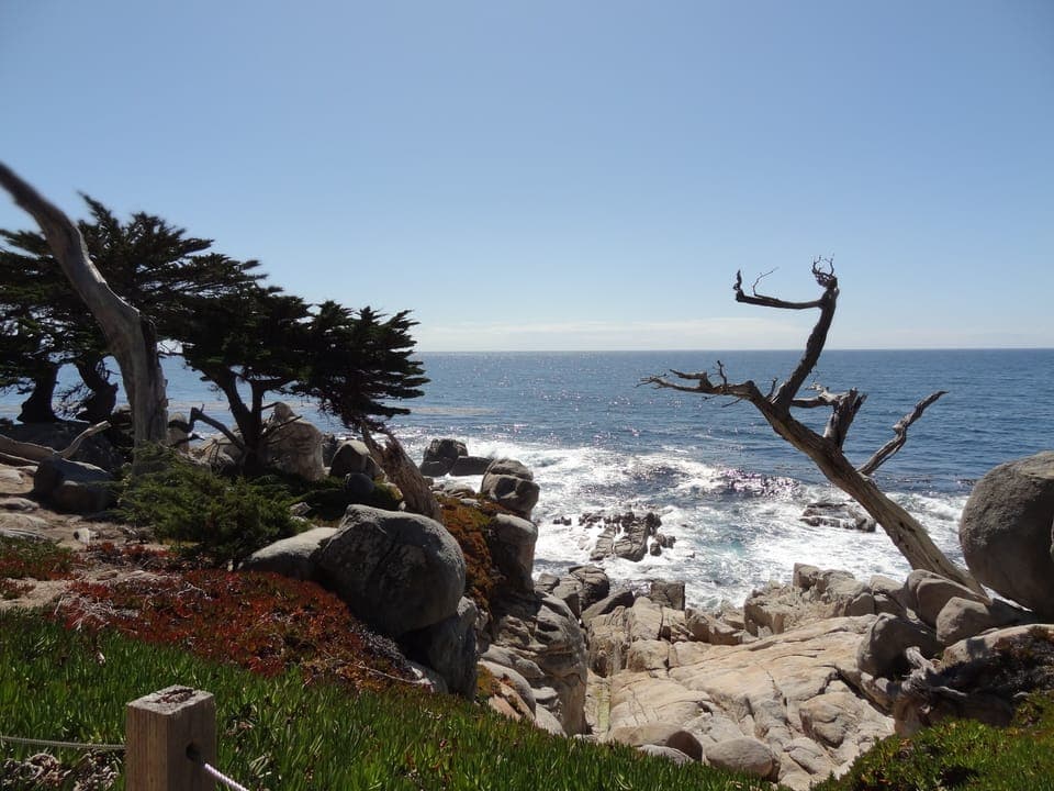 Pebble Beach-17 Mile Drive