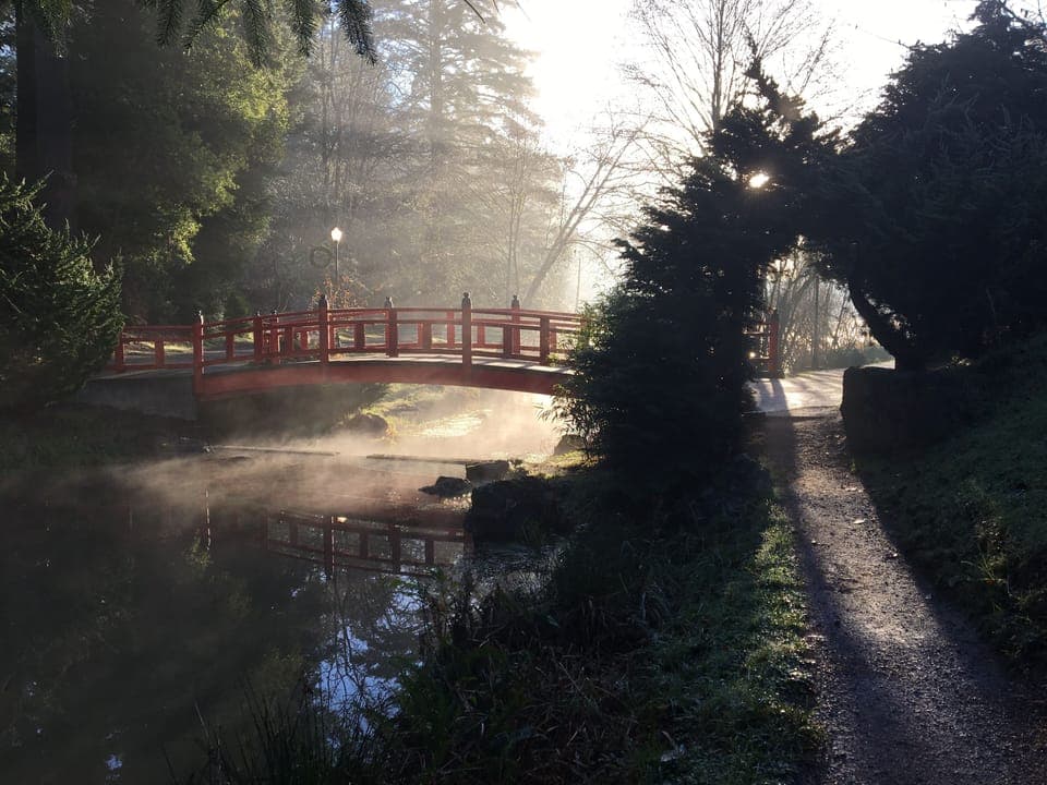 Mingus Park in the morning.